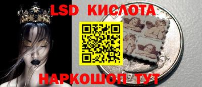 гидропоника Будённовск
