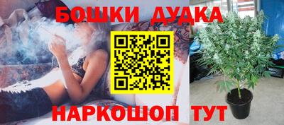 гидропоника Будённовск