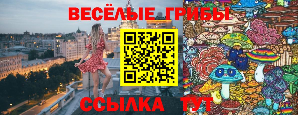 Минусинск  Галлюциногенные грибы Psilocybe  Галлюциногенные грибы ЛСД  Вход с VPN 